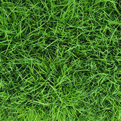 X-Naturflecken entfernen