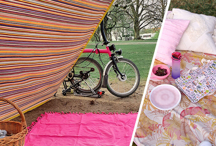 Dein Picknick-Abenteuer