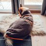 Emma “Hundebademantel”  A0 UND A4 DATEI* thumbnail number 2
