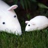 Maus Leopold in 4 Gr. nähen Kuscheltier thumbnail number 2