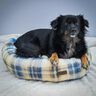 Katzenbett / Hundebett Schnittmuster und Nähanleitung thumbnail number 11