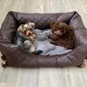 Hunde-Autositz / Hundekörbchen  „Pierro“ thumbnail number 1