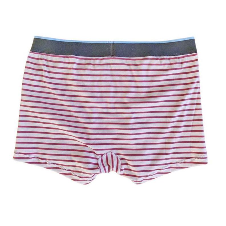 floxer-briefs: Boxerbriefs f. Damen, 4 Beinlängen, 2 Höhen image number 8