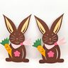 Plotterdatei Hase Osterhase SET Frühling thumbnail number 2