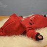 OUTDOOR-EINTEILER ONEPIECE ONESIE FÜR KINDER GR 56 - 98 thumbnail number 7