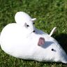 Maus Leopold in 4 Gr. nähen Kuscheltier thumbnail number 4