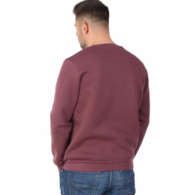 HERR DENIZ - Sweater mit Rundhalsausschnitt S -XXL image number 3