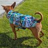 Hundejacke Alma Schnittmuster und Nähanleitung thumbnail number 9