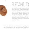 E-Book Elefant Ida Greifling thumbnail number 3