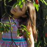 Schnittmuster Bluse/Kleid Mittsommer 80-164 thumbnail number 9