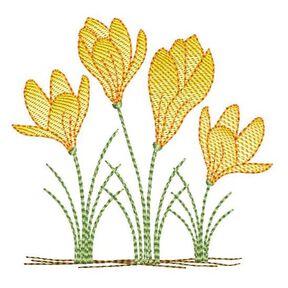 Stickdatei Krokus verschiedene Größen