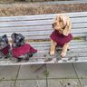 E-Book Hundemantel „Emmi" in 7 Größen *A4 und A0 Datei* thumbnail number 7