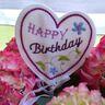 ITH Stickdatei Blumenstecker zum Geburtstag 10x10cm thumbnail number 2