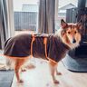 Emma “Hundebademantel”  A0 UND A4 DATEI* thumbnail number 1