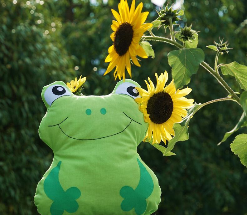 Frosch Kissen nähen 3 Gr. Schnittmuster Beamer  image number 5