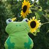 Frosch Kissen nähen 3 Gr. Schnittmuster Beamer  thumbnail number 5