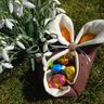 Osterkörbchen Hase nähen Eierkörbchen  thumbnail number 3