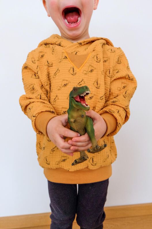 Hoodie/Shirt "Pull&Over Kids" Ebook - MachBar's Beste image number 9