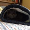 Katzen Höhle nähen mit Schnittmuster Kissen Sack thumbnail number 1