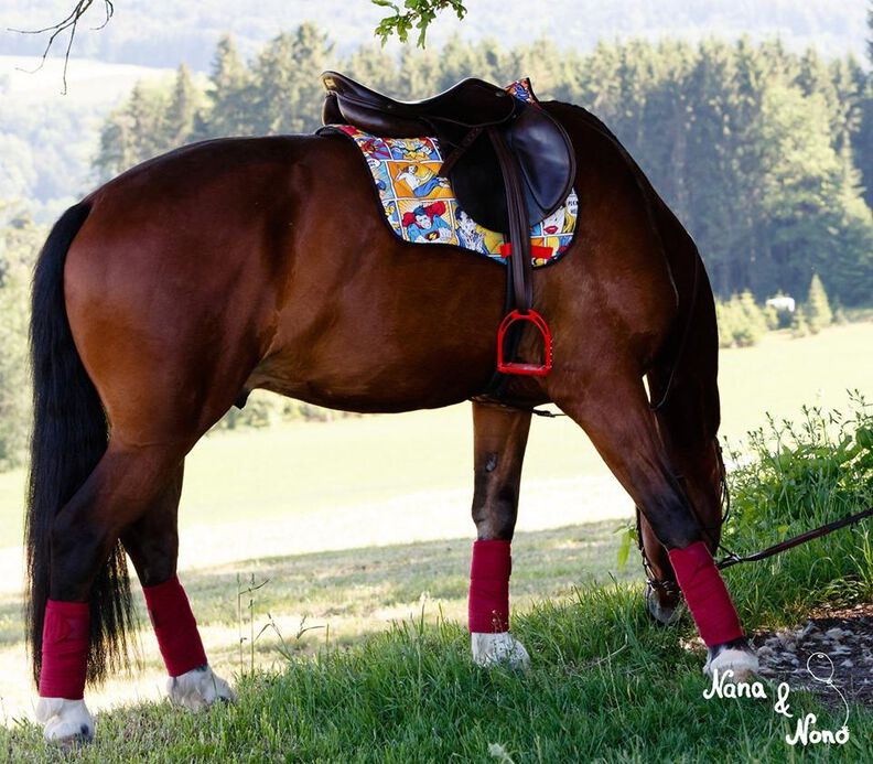 Schabracke für Reitsport - Nähanleitung & Schnittmuster image number 1
