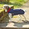 Hundejacke Alma Schnittmuster und Nähanleitung thumbnail number 6