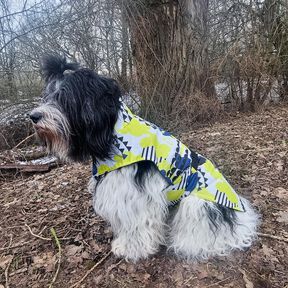 E-Book Hundemantel &bdquo;Emmi" in 7 Gr&ouml;&szlig;en *A4 und A0 Datei*