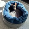 Hundebett Katzenkorb SISSI (XS-XL 30-70 cm Bodendurchmesser) thumbnail number 6