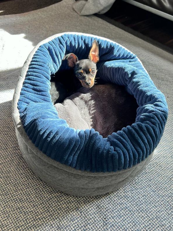 Hundebett Katzenkorb SISSI (XS-XL 30-70 cm Bodendurchmesser) image number 6