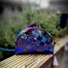 Tasche Dianthus thumbnail number 4