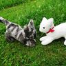 Katze Kuscheltier nähen thumbnail number 2