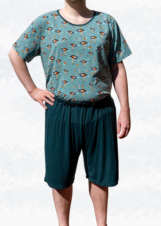 Pyjama Schlafanzug für Herren, Shirt und Hose Gr 44-60 A4+A0 image number 5