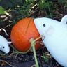 Maus Leopold in 4 Gr. nähen Kuscheltier thumbnail number 6