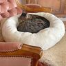 Katzenbett / Hundebett Schnittmuster und Nähanleitung thumbnail number 10