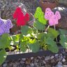 Stickdatei Pilze Herbst Redwork SET 9erlei  thumbnail number 5
