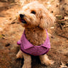 Hundejacke P1823- Poppy Magazine 23 thumbnail number 2
