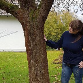 E-Book Rollkragenpullover “Rom” 