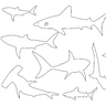 Stickdatei - Hai Raubfisch Linien thumbnail number 1