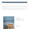 Rüschenshirt Damen – Schnittmuster – Alcudia Gr. 32-58 thumbnail number 5