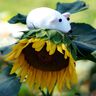Maus Leopold in 4 Gr. nähen Kuscheltier thumbnail number 5