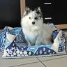Hundebett Alma Schnittmuster und Nähanleitung thumbnail number 8