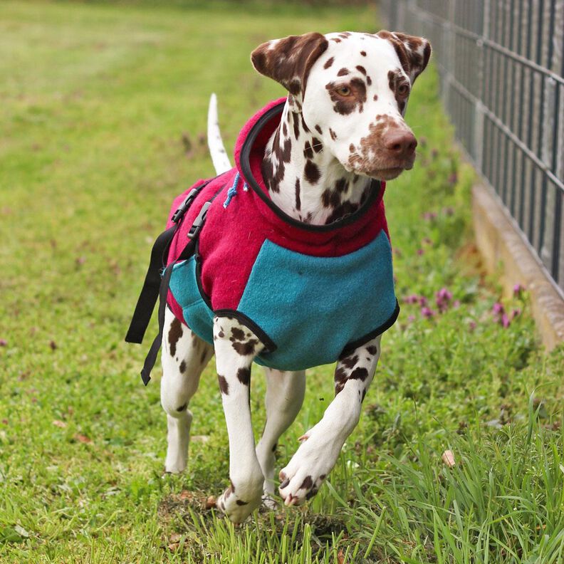 Hundejacke Alma Schnittmuster und Nähanleitung image number 8