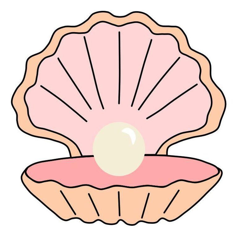Muschel Applikationsvorlage PDF image number 2