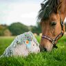 Pony-Kissen – Nähanleitung & Schnittmuster thumbnail number 4