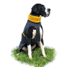 gassifluff Hundemantel Schnittmuster thumbnail number 7