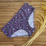 Unterhose Karla, Panty Gr. 34 und Gr. 36  thumbnail number 1
