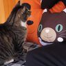 Katzen Kissen in 3 Größen nähen Katze Cat thumbnail number 8