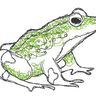 Scribble Kritzel Frosch Stickdatei Doodle thumbnail number 5