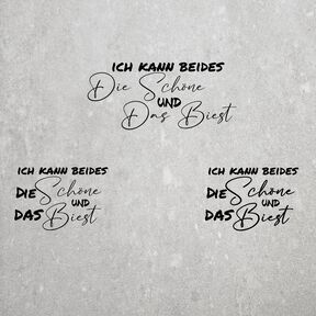 Plott #14 | Die Schöne & das Biest