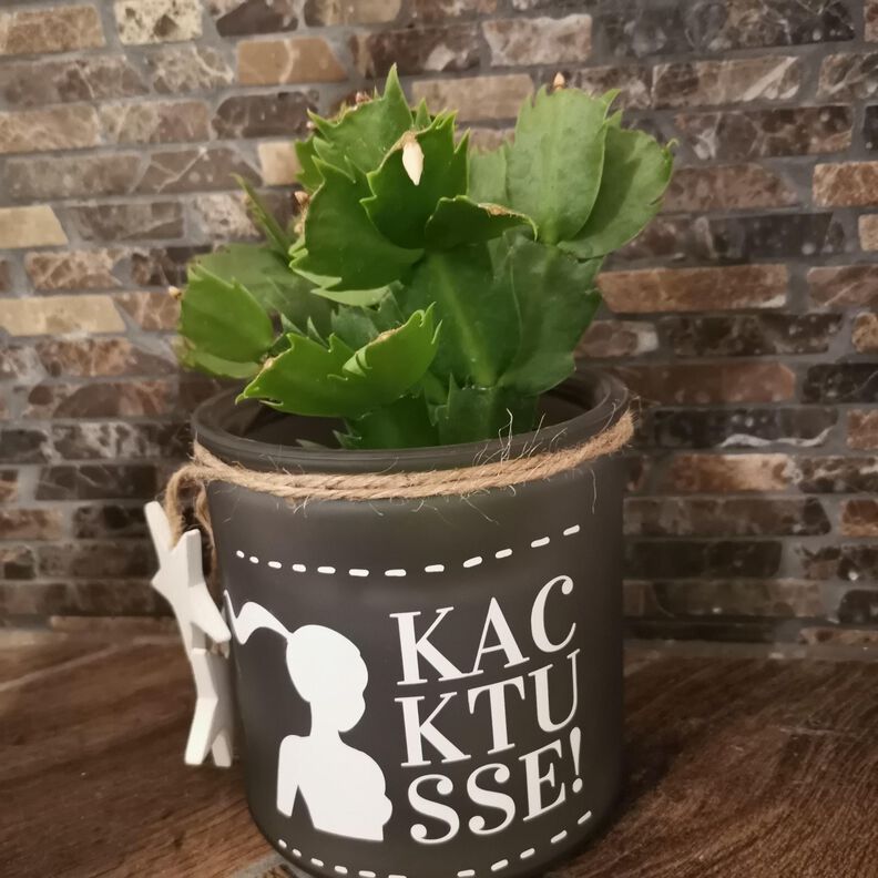 Plotterdatei Kacktusse SVG DXF PNG image number 6
