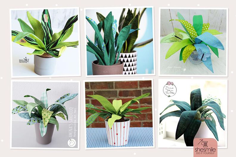 Zimmerpflanze Sansevieria (Nähanleitung & Schnittmuster) image number 2